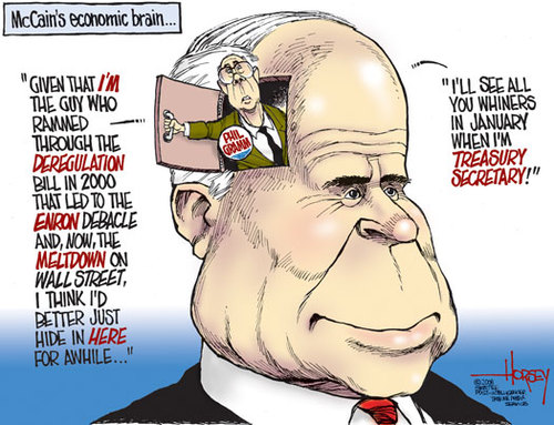 McCain's economic brain