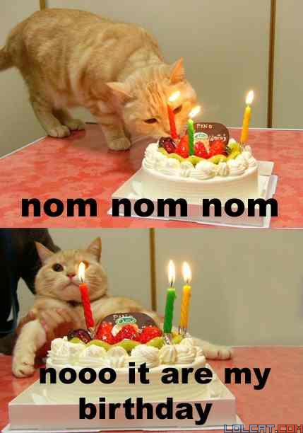 Lolcat: "NOM NOM NOM / Noooo it are my birthday" Lolcat: "NOM NOM NOM / Noooo it are my birthday"