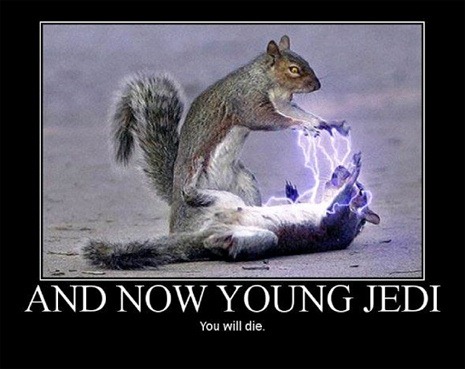 and-now-young-jedi-you-will-die.jpg