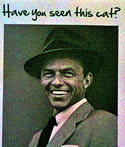 Thumbnail image for Have You Seen This Cat?