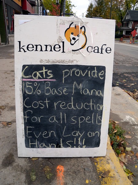 funny signs for kids. Kennel Cafe sign: quot;Cats
