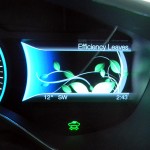 "Efficiency Leaves" display on dashboard screen, showing a vine with varying sizes of leaves