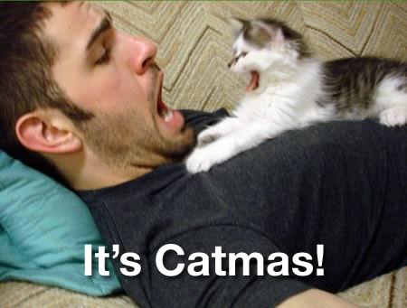 “It’s Catmas!”: Man and cat looking at each other and screaming