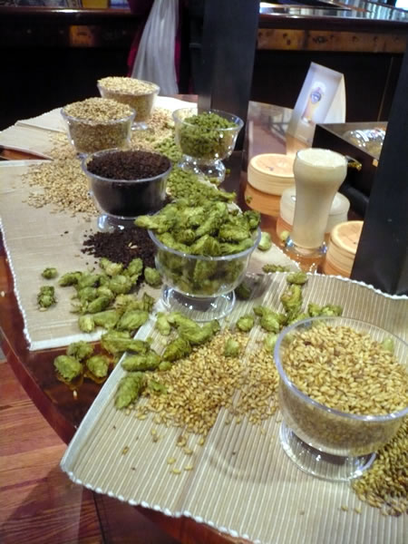 Hops on display at Brew 2.0 Hops on display at Brew 2.0