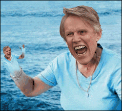 An infinitely zooming-in animation of Gary Busey
