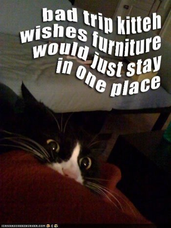 Wide-eyed LOLcat hiding: "Bad trip kitteh wishes furniture would just stay in one place."