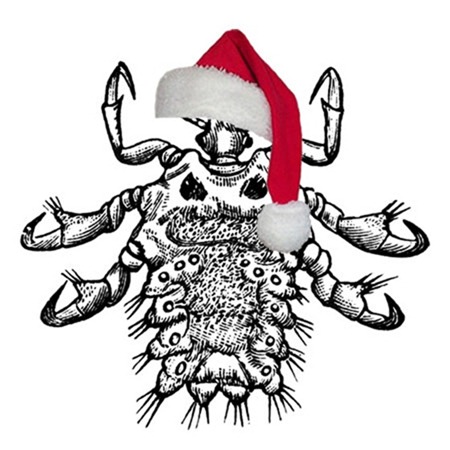Crablouse in a Santa hat