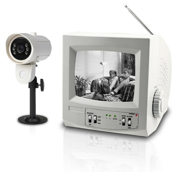 Security camera and monitor