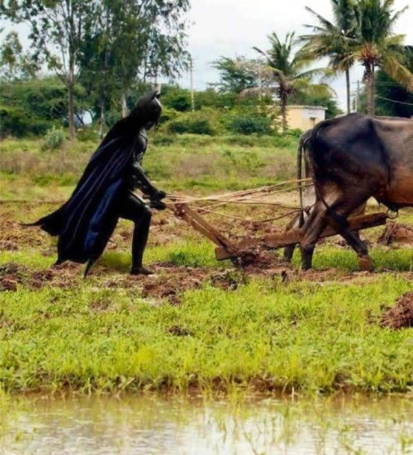 batman ploughing