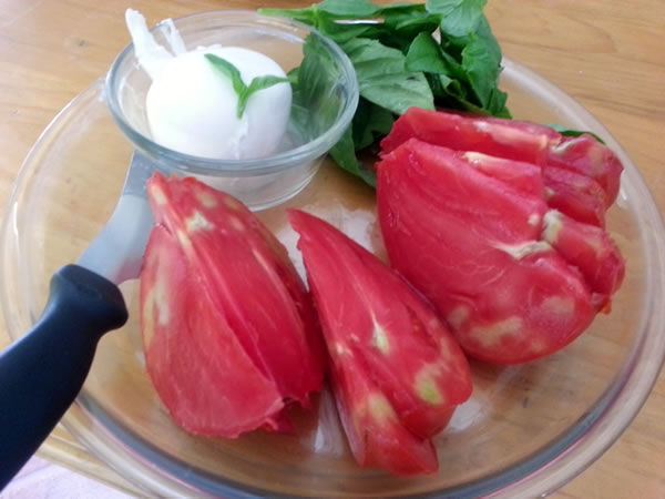 heirloom tomato basil bocconcini
