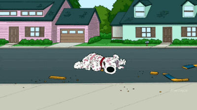 Family Guy Poster  RIP Brian Griffin Seth MacFarlane Brian South Park   eBay