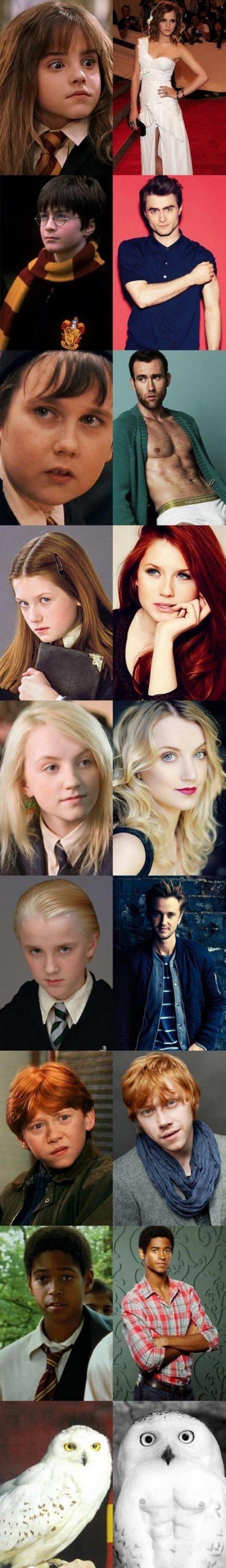 harry potter stars then and now