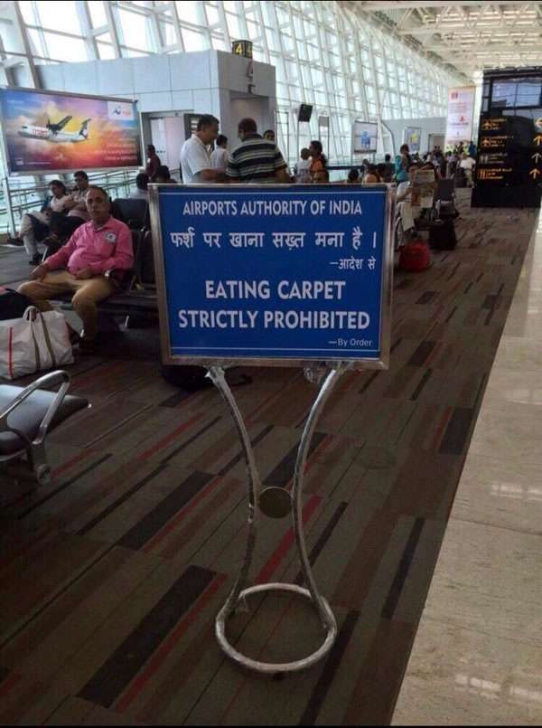 eating carpet strictly prohibited