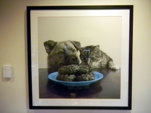 Framed photo of a dog and cat sitting patiently at a table with a plate of hamburgers.