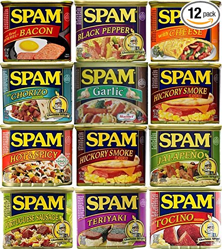 spam varieties - The Adventures of Accordion Guy in the 21st Century