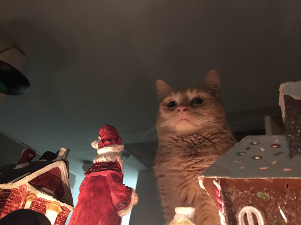 Cat glowering at (and towering over) a diorama featuring a Christmas village and Santa Claus. Santa appears to be in danger.