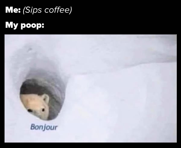 Photo: Me: (sips coffee). My poop: [image of bear peeking from hole in snowdrift: “Bonjour”