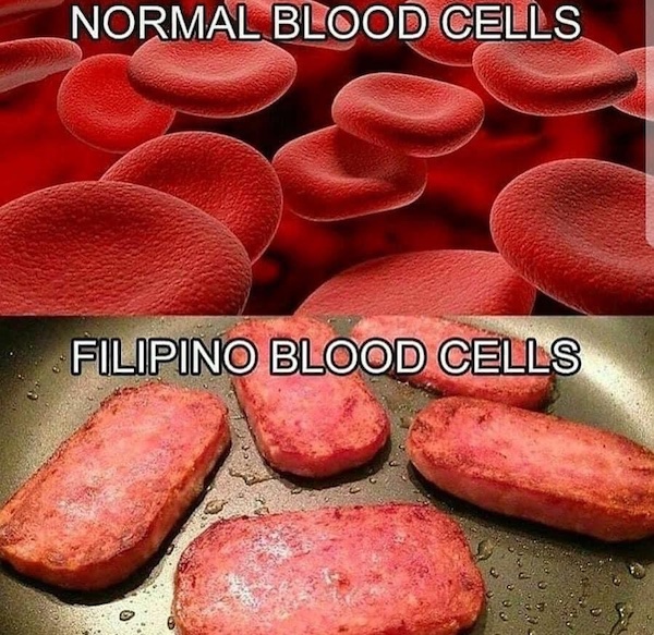 Normal blood cells vs. Filipino blood cells - The Adventures of Accordion  Guy in the 21st Century