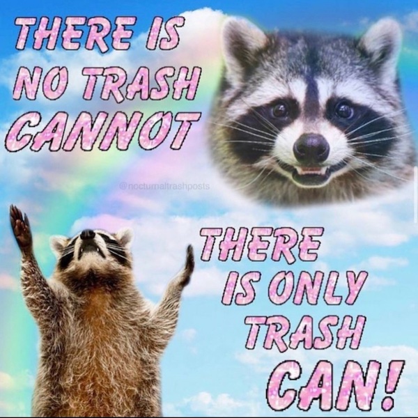 Triumphant raccoon saying “There is no trash CANNOT; there is only trash CAN!”