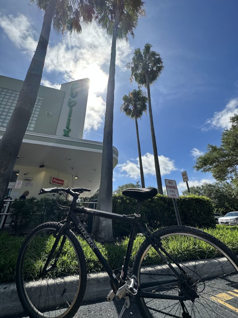 The Publix in Seminole Heights, an art deco-looking grocery store with palm trees and sun in the background, and my bike in the foreground.