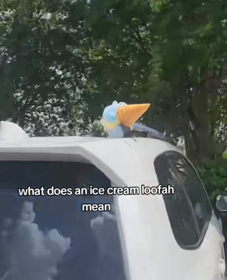 whatdoesanicecreamloofahmean The Adventures of Accordion Guy in