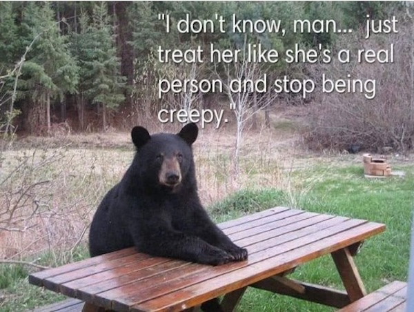 a-message-from-the-bear