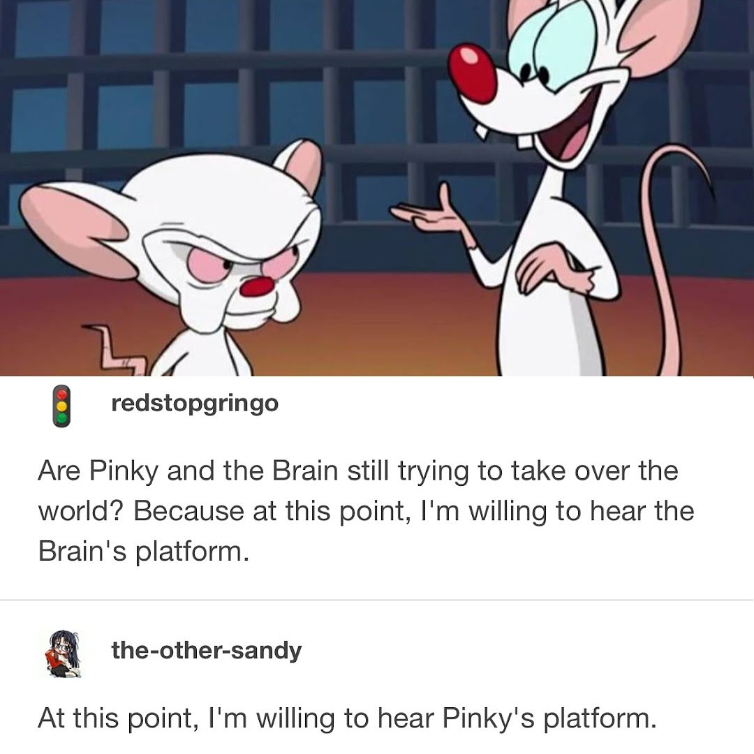 are-pinky-and-the-brain-still-trying-to-take-over