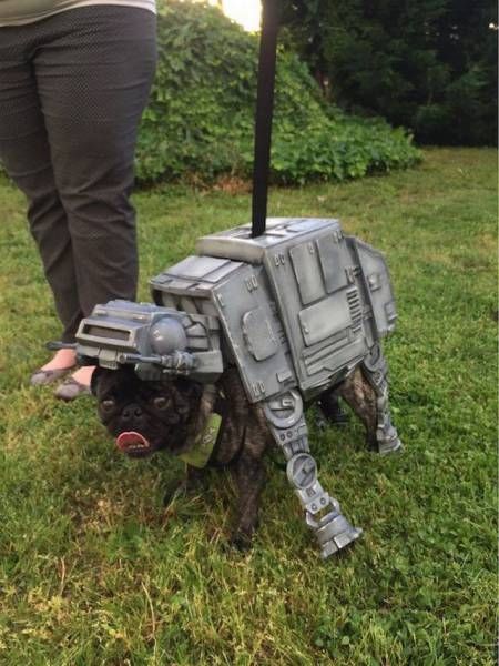at-pug-t