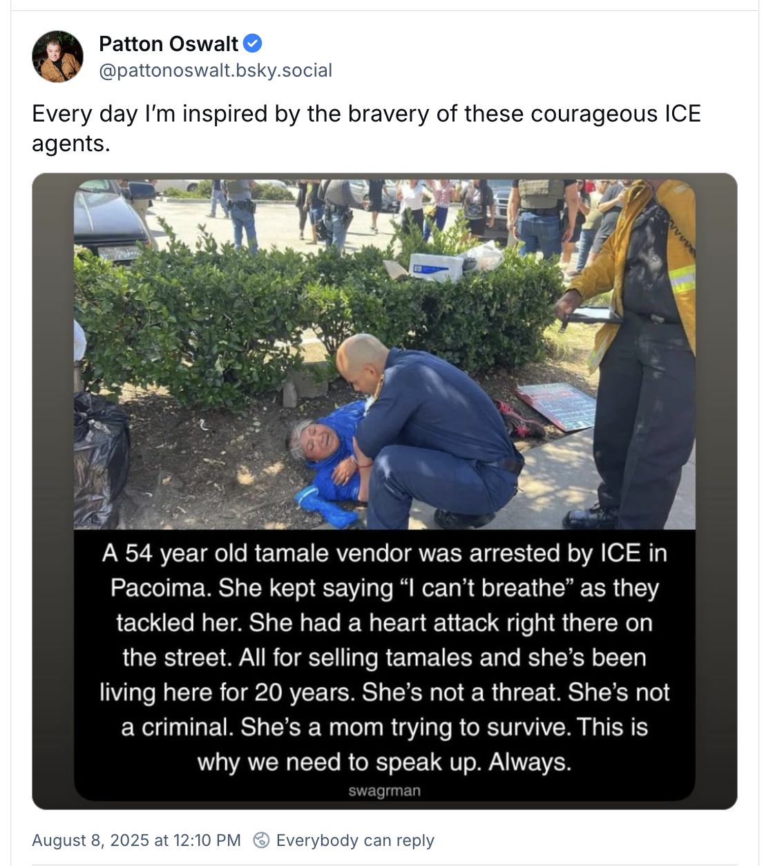 courageous-ice-agents