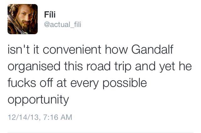 gandalf-organized-this-road-trip