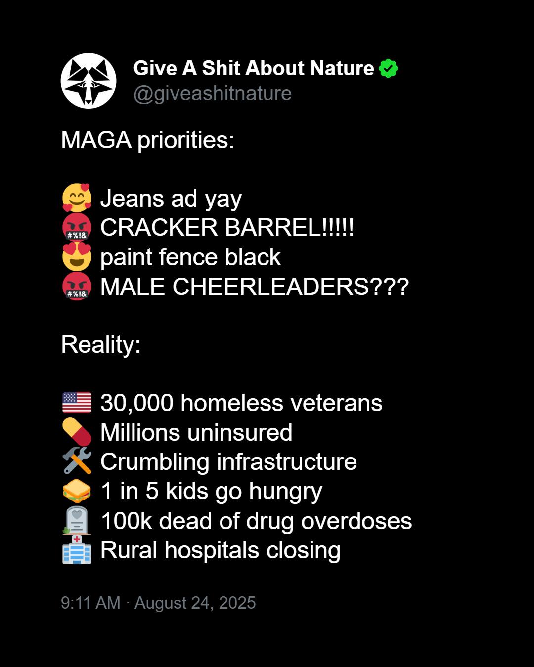 maga-priorities-vs-reality