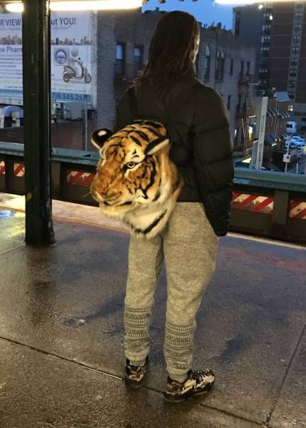 tiger-backpack