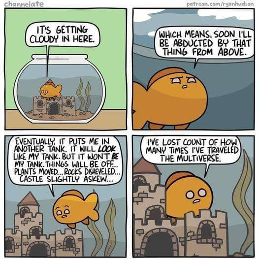 traveled-the-multiverse