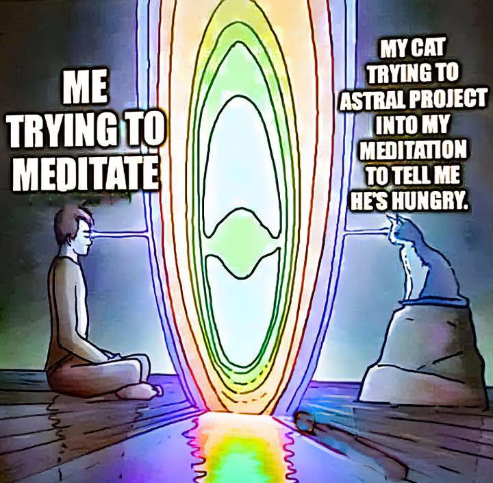 trying-to-meditate