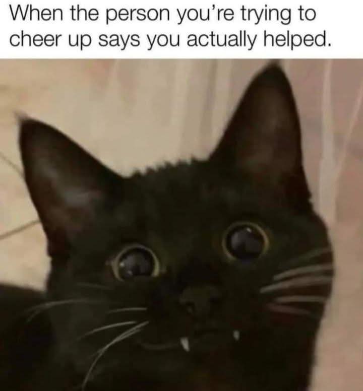 when-the-person-youre-trying-to-cheer-up-says-you-actually-helped