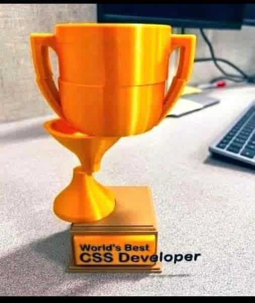 worlds-best-css-developer
