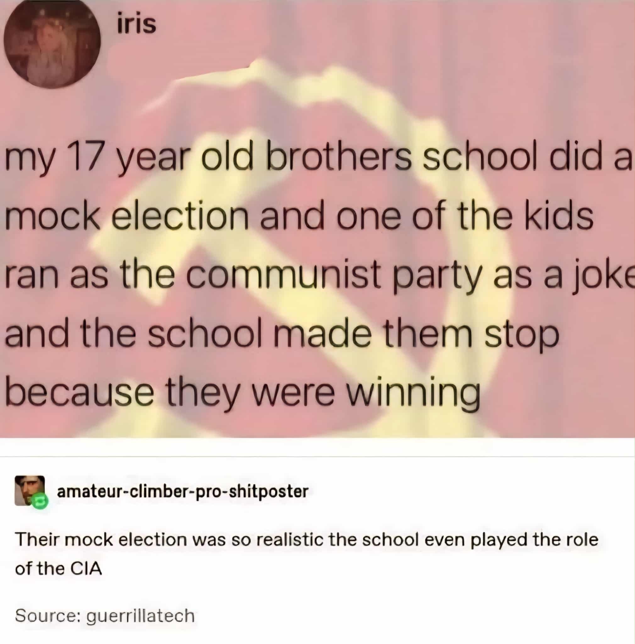 alistic-mock-election