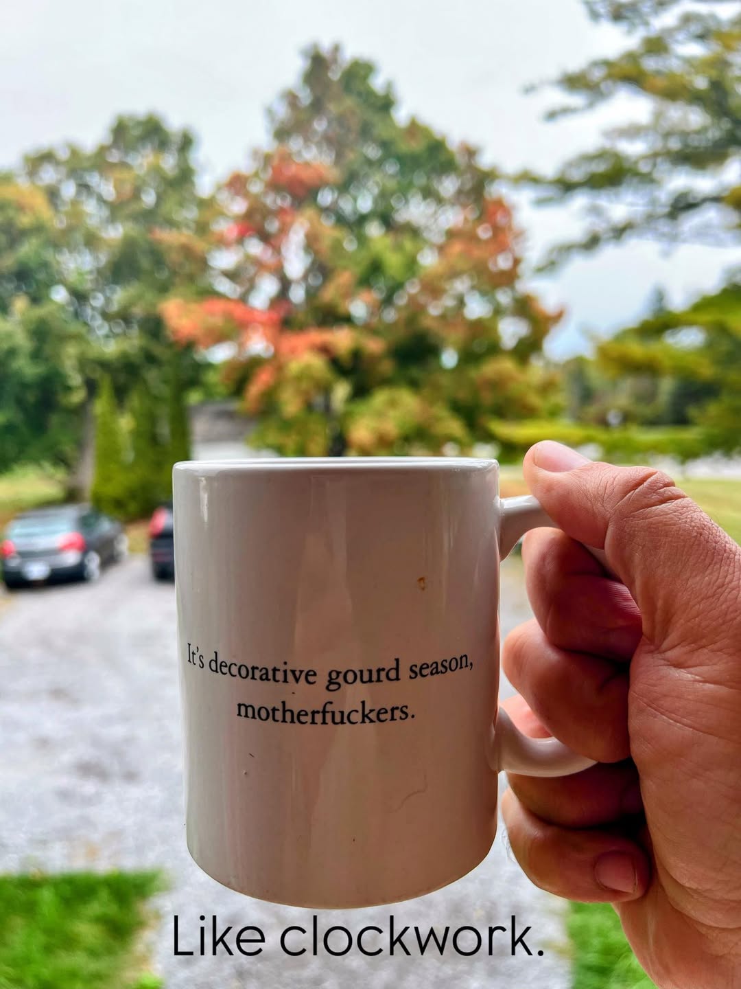 decoartive-gourd-season-mfers