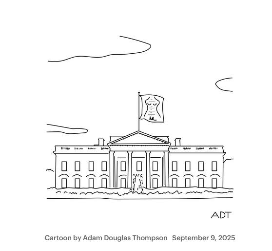 flag-over-white-house