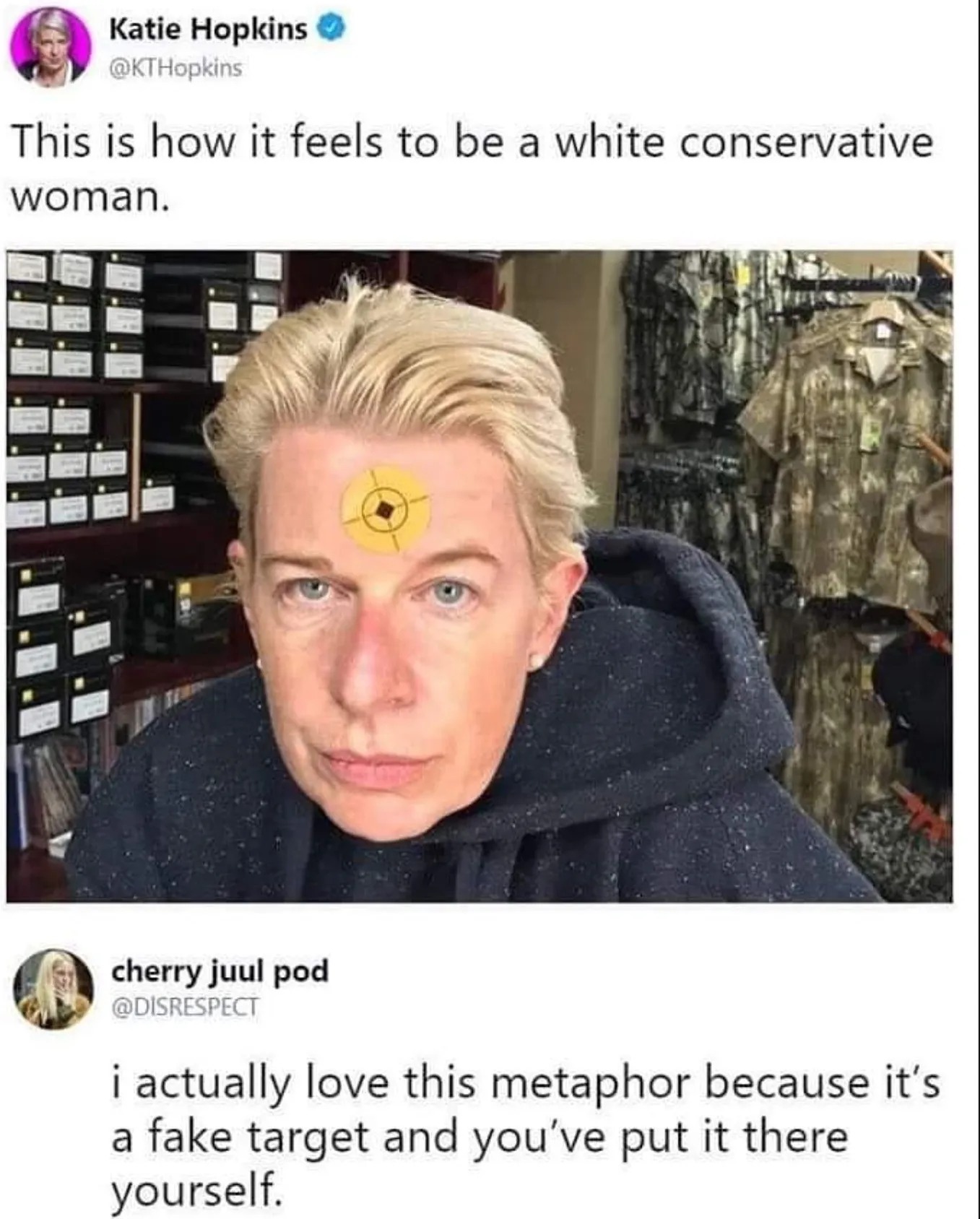 katie-hopkins-how-it-feels-to-be-a-white-conservative-woman