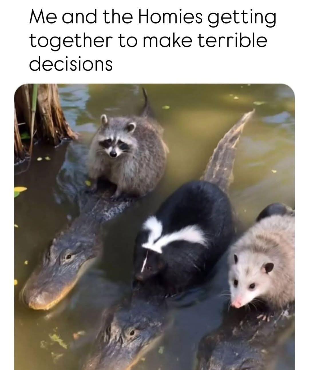 me-and-the-homies-terrible-decisions