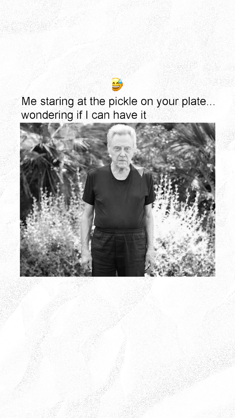 me-staring-at-th-epickle-on-your-plate