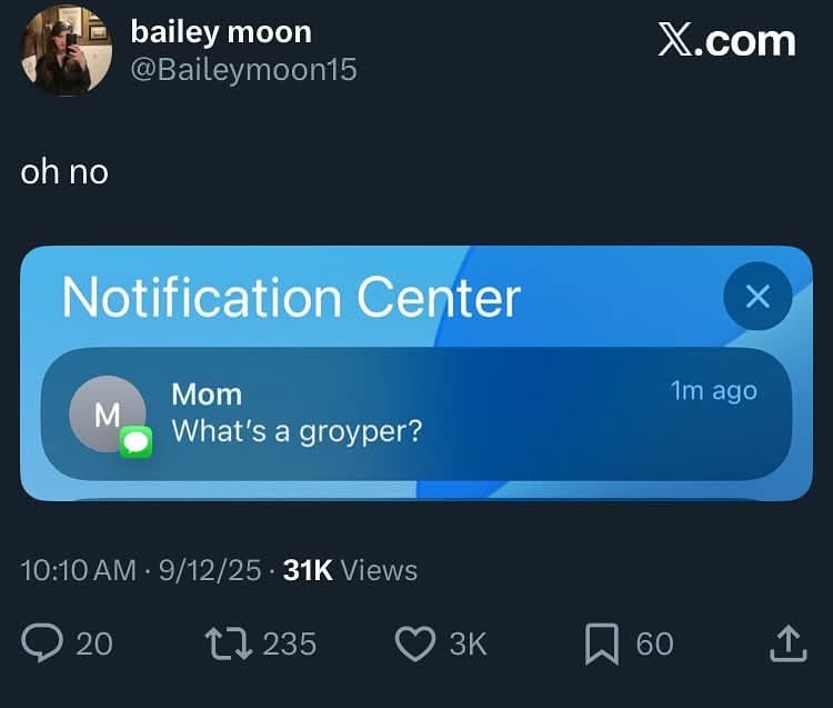 mom-asks-whats-a-groyper