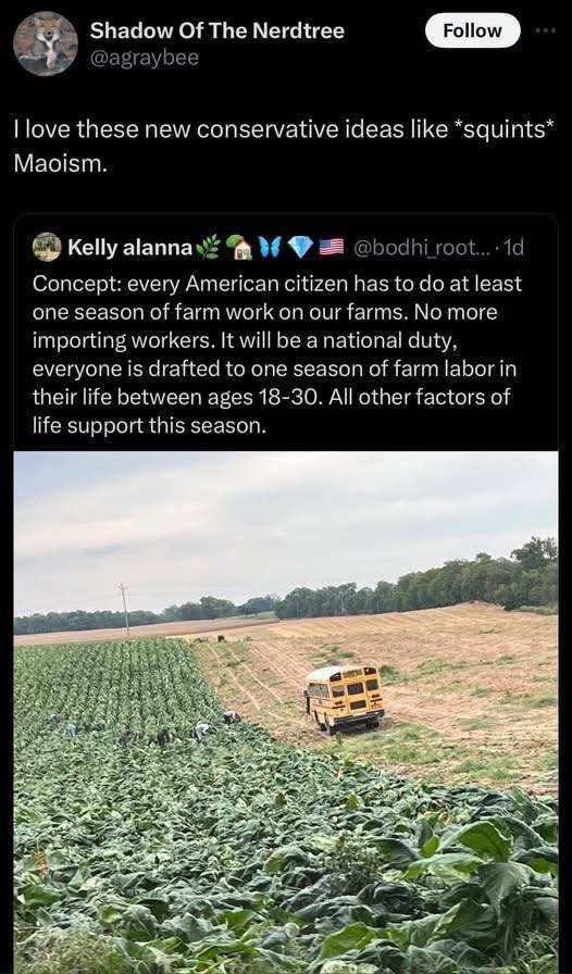 new-conservative-ideas-like-maoism