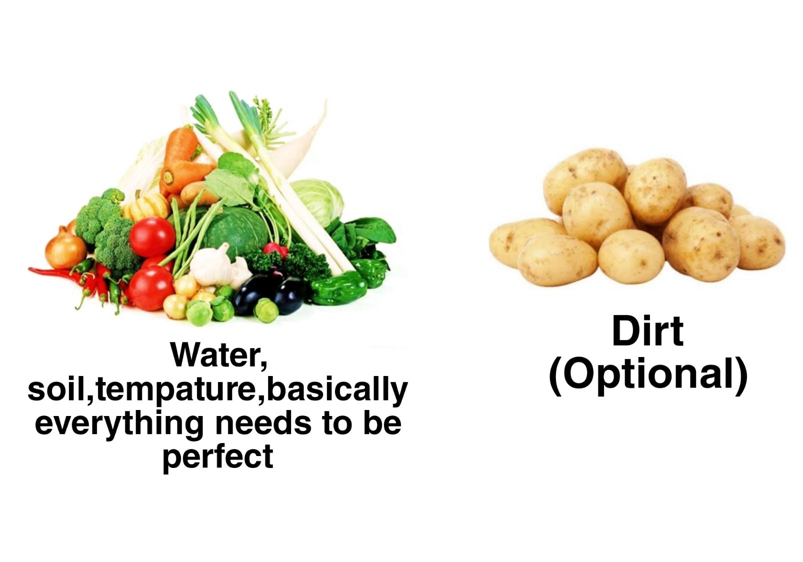 other-veg-vs-potato