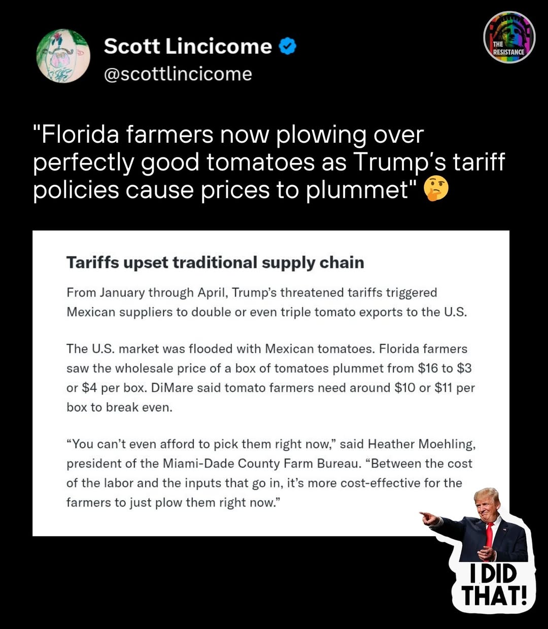 plowing-over-perfectly-good-tomatoes