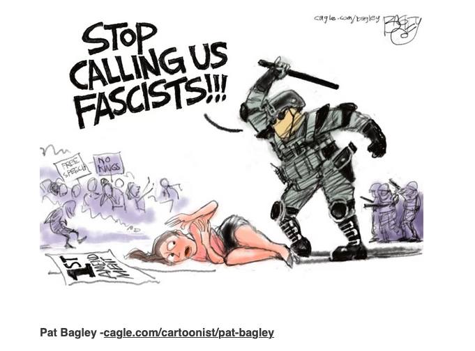stop-calling-us-fascists