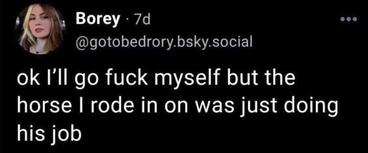 the_horse_i_rode_in_on