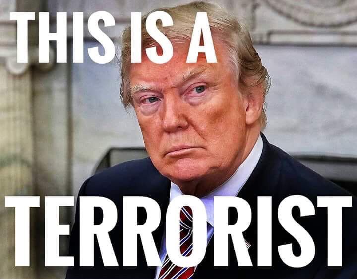 this-is-a-terrorist