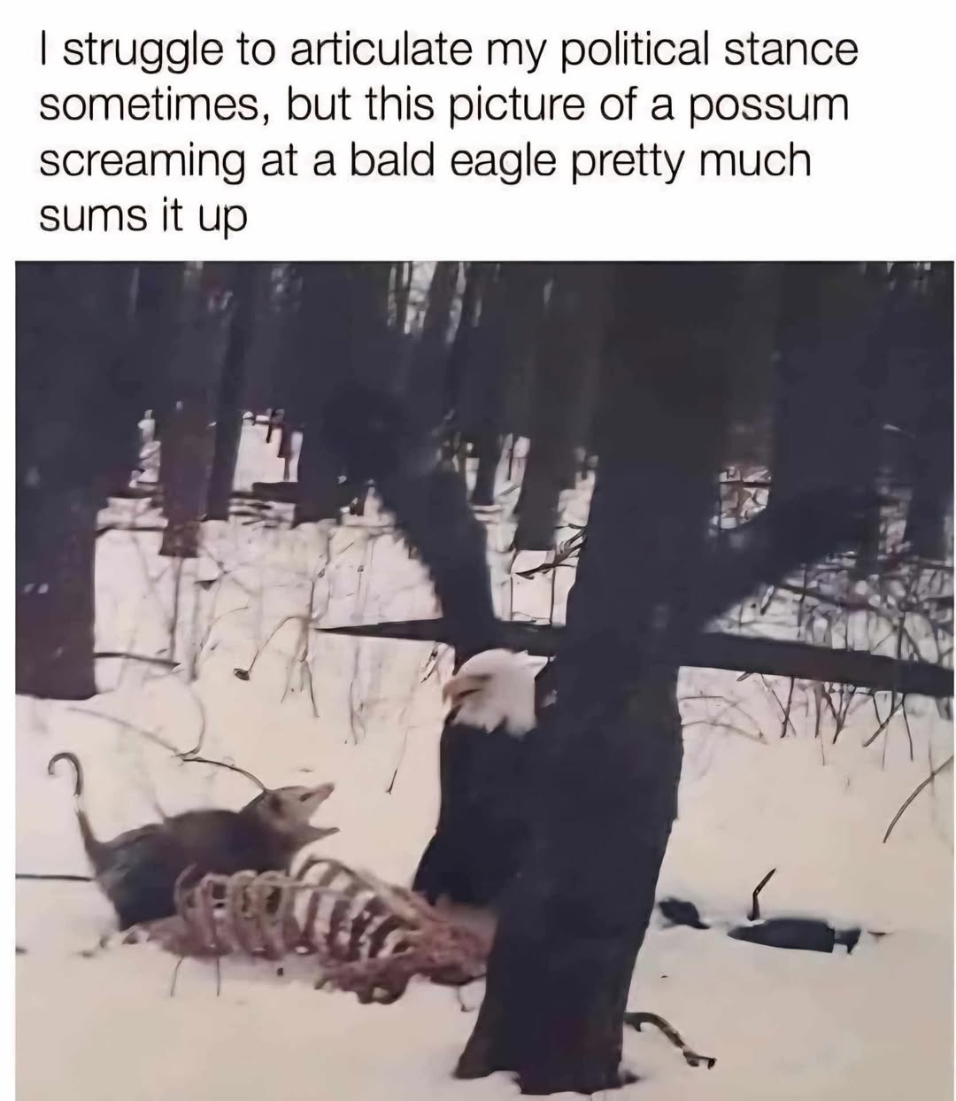 this-picture-sums-up-my-political-stance